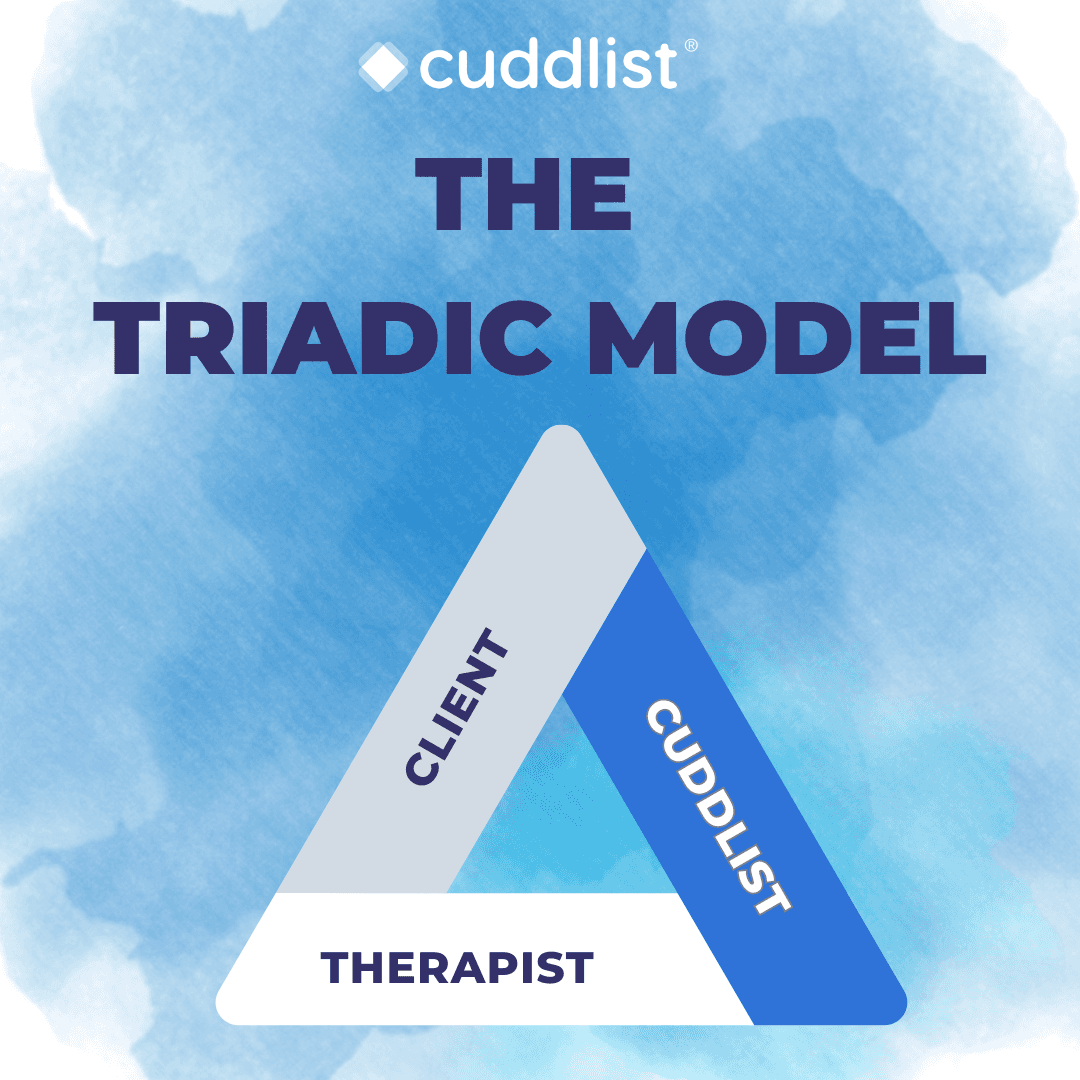 Triadic Model Course